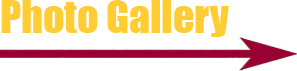 Page Title Photo Gallery